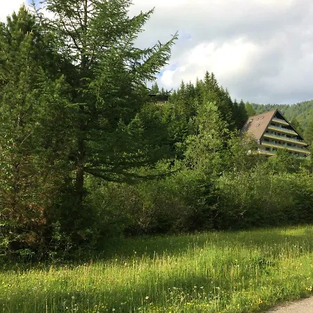 Laerchenhof Nr 8 * אינרקרמס