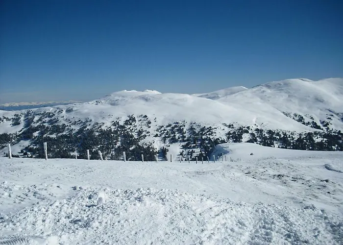 Daire Laerchenhof Nr 8